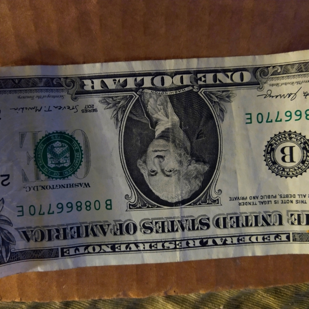 One dollar bill